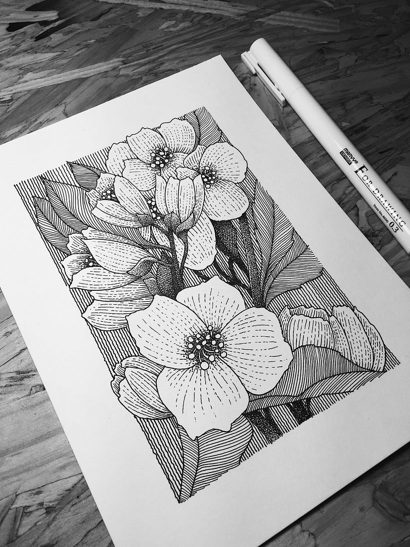 Dibujos Recientes 01 0