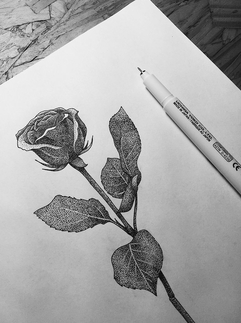 Dibujos Recientes 01 4