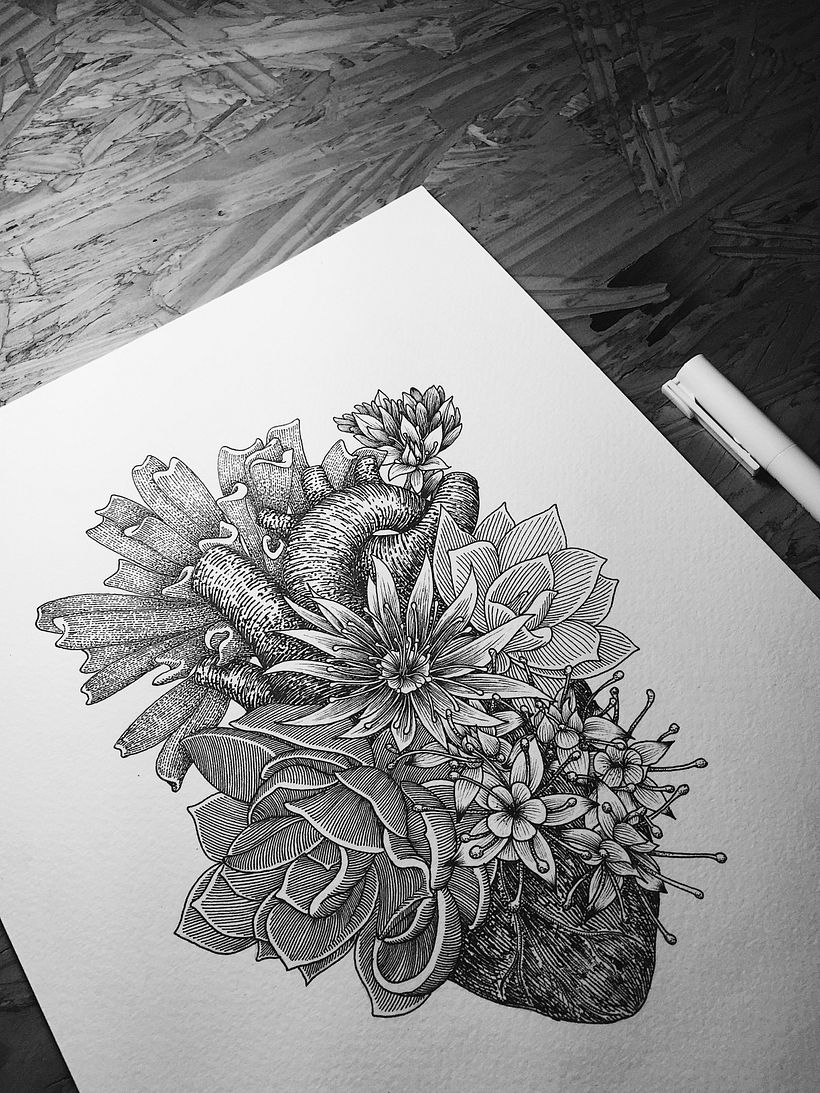 Dibujos Recientes 01 5