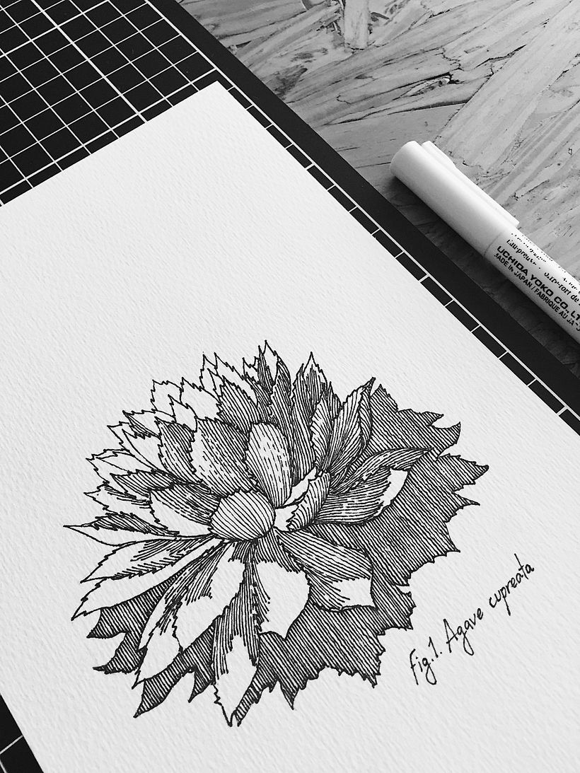 Dibujos Recientes 01 8