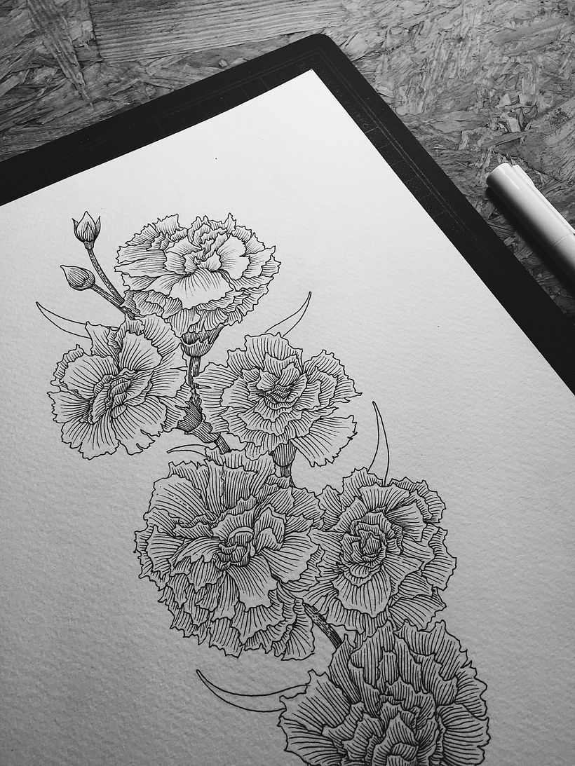 Dibujos Recientes 02 2
