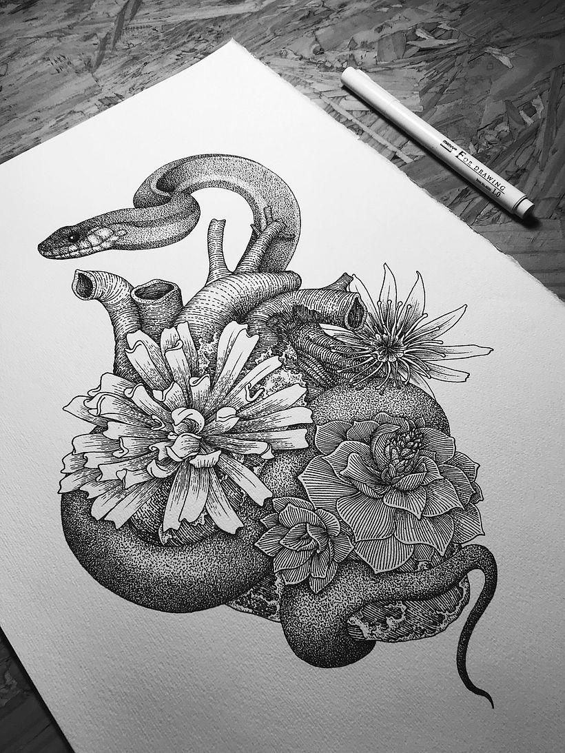 Dibujos Recientes 02 3