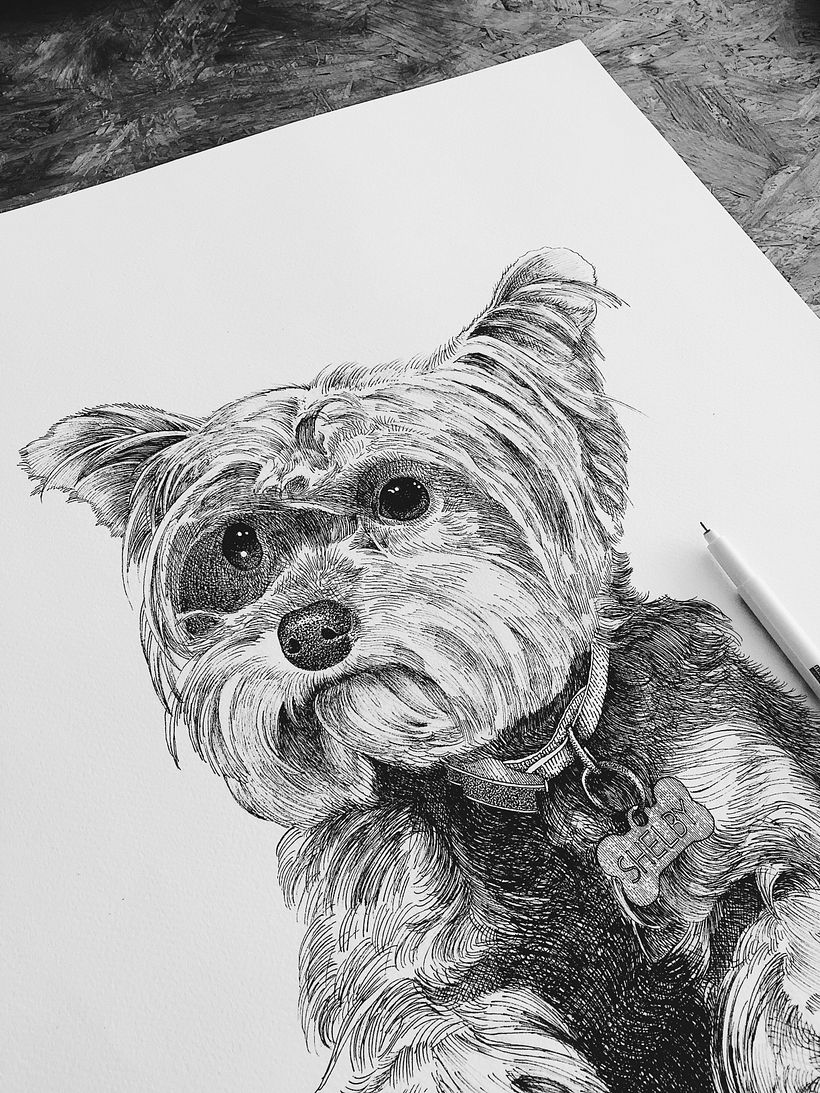 Dibujos Recientes 02 4