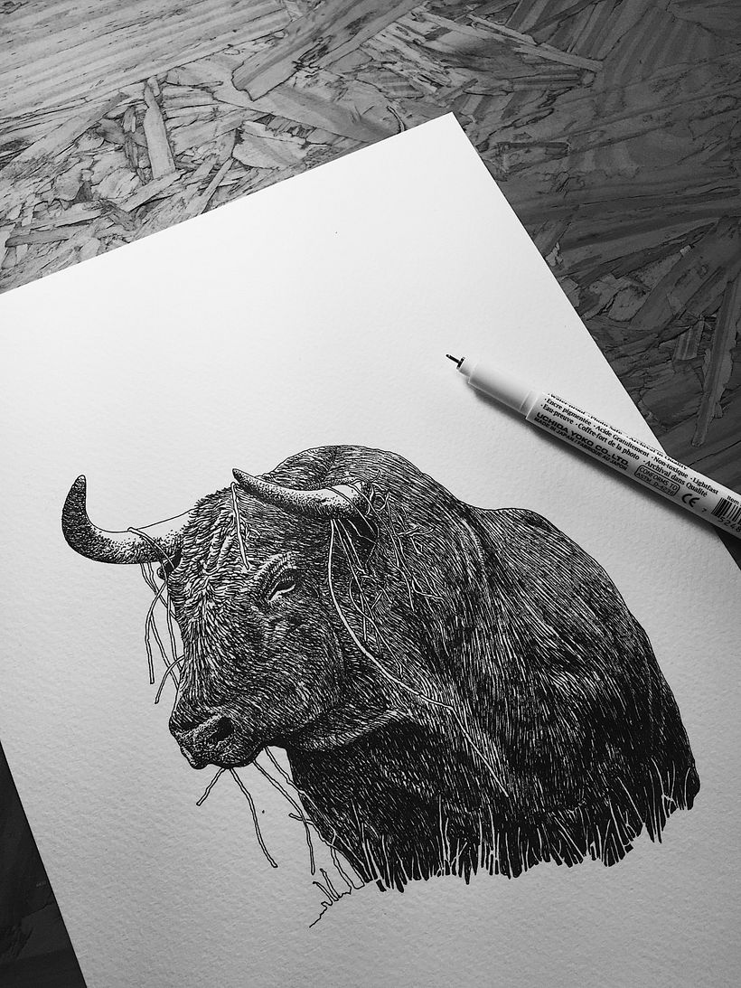 Dibujos Recientes 02 5