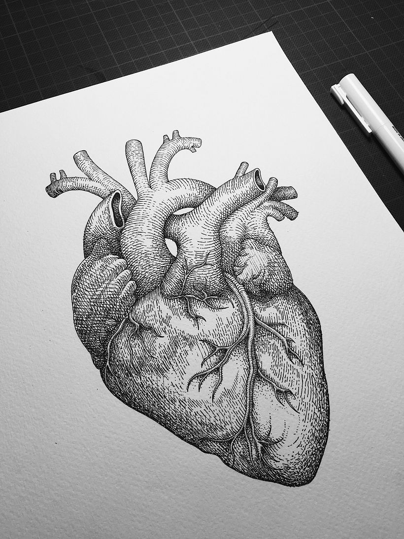 Dibujos Recientes 02 8