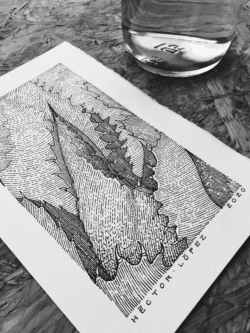 Dibujos Recientes 02 10