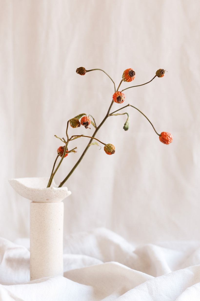 A C C I D E N T A L  · Serie de objetos fruto del azar 4