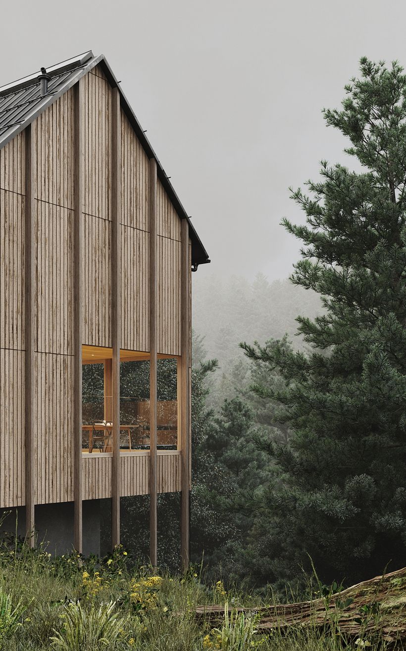 Haus Am Stürcherwald in Austria // CGI 1