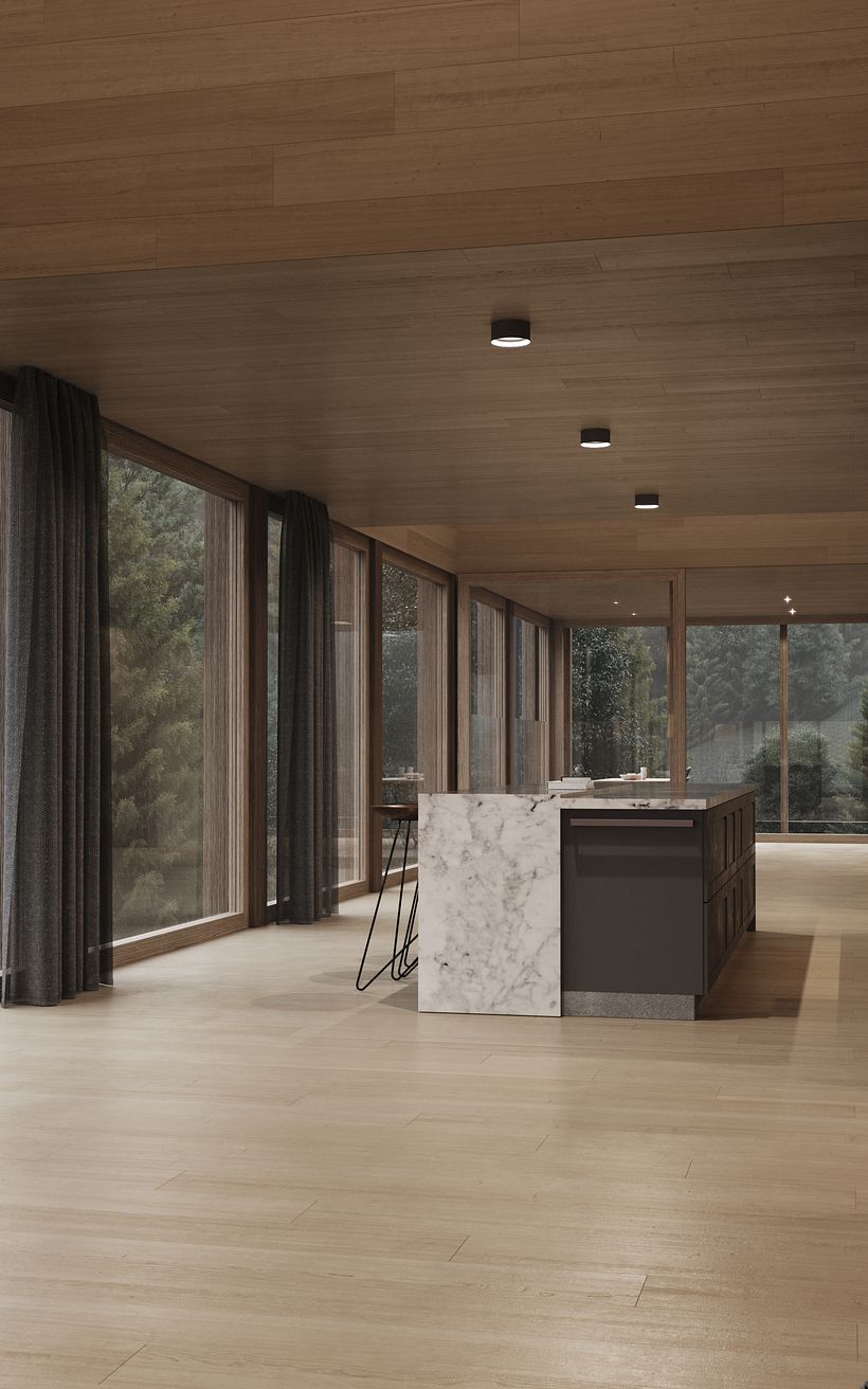 Haus Am Stürcherwald in Austria // CGI 3