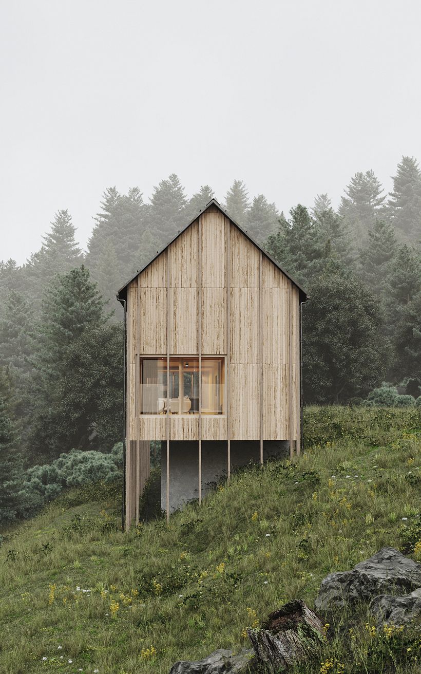 Haus Am Stürcherwald in Austria // CGI 0