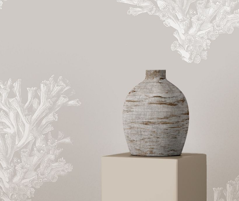 CORAL 1