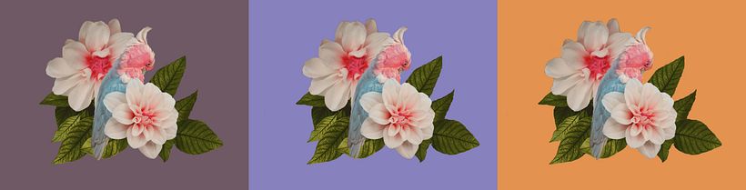 My project in Textile Prints with Digital Techniques course 0