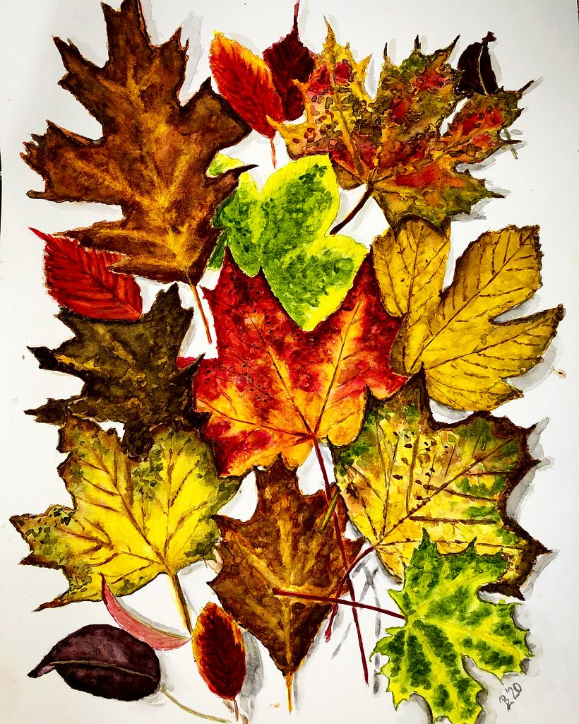 Colours of Autumn