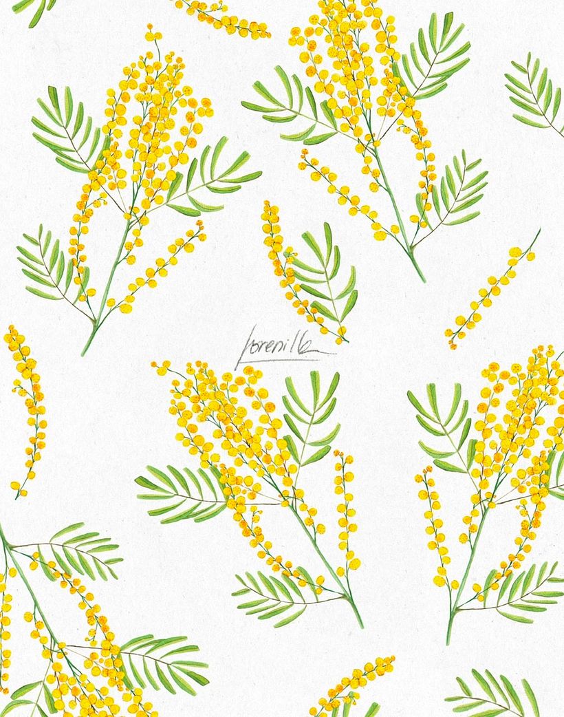 Pattern Mimosas  0