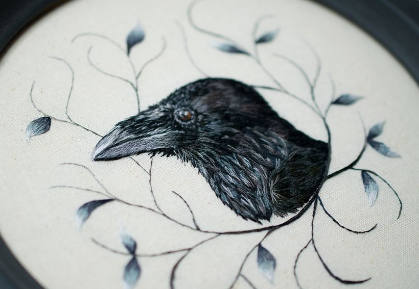 Common Raven 1