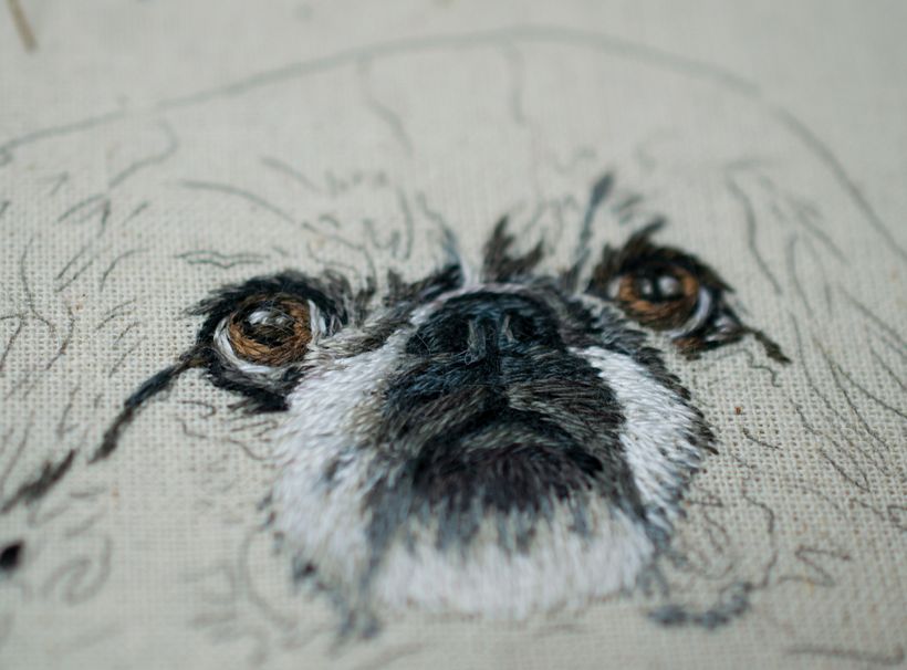 Pet Portraiture  1
