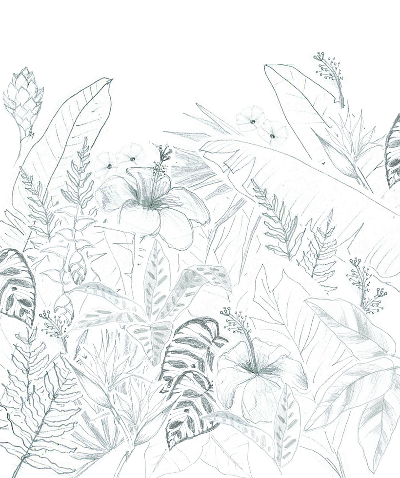 This is the sketch chosen by the client
