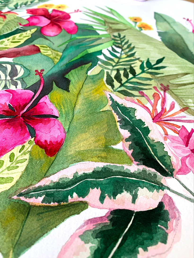 Calathea + Philodendron + Hibiscus. Some of the plants shown in this illustration fragment.