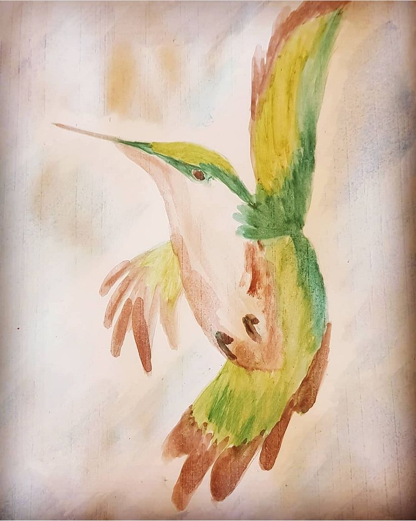 Mi cielo mis pajaros