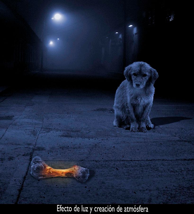 El sueño no termina