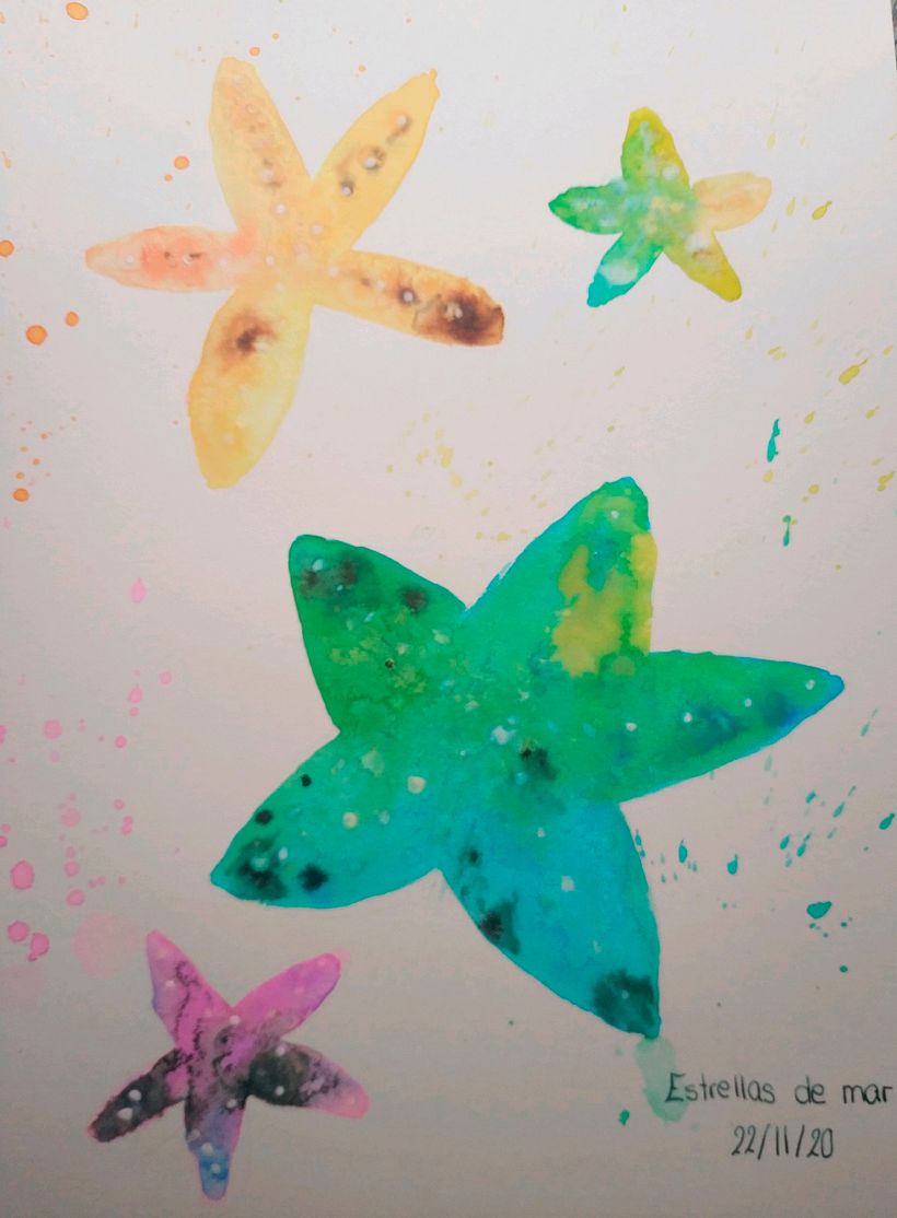 Estrellas de Mar - Experimentación
