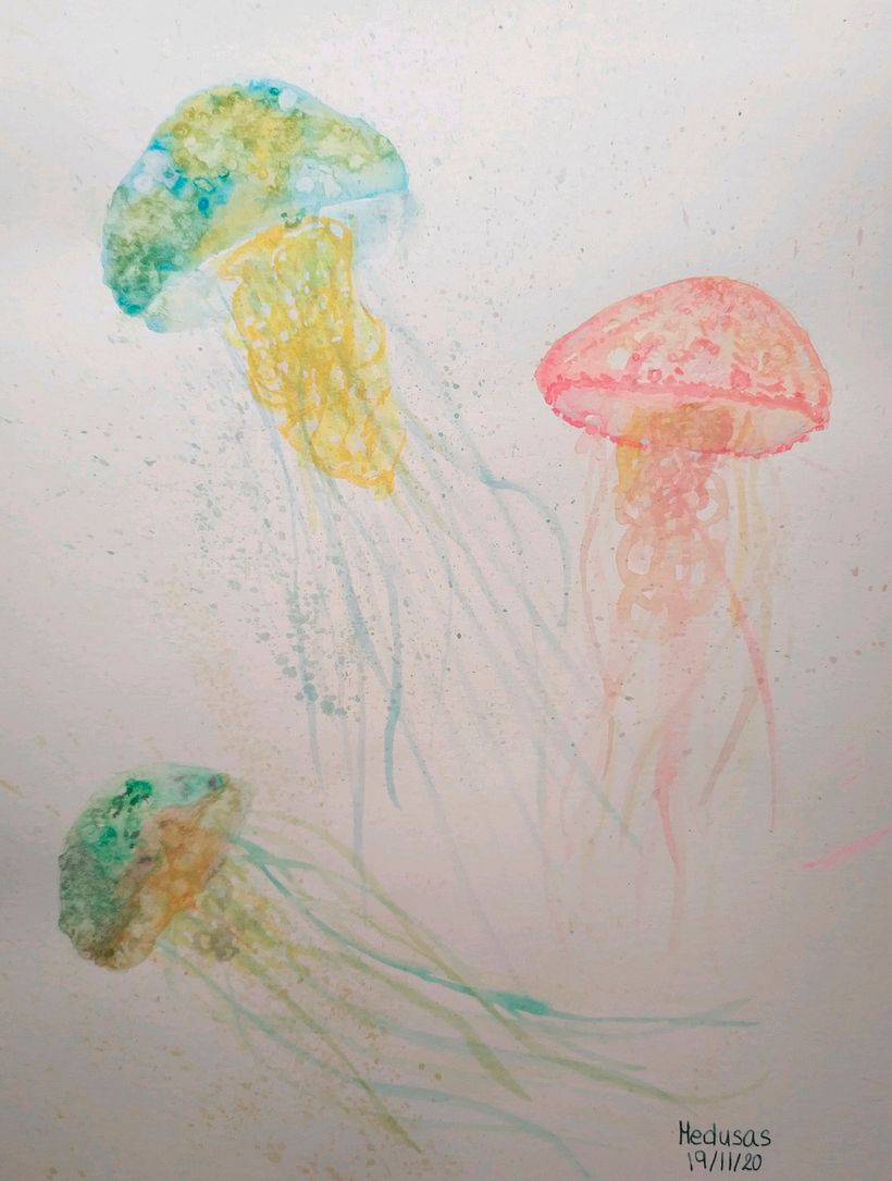Medusas - Experimentación