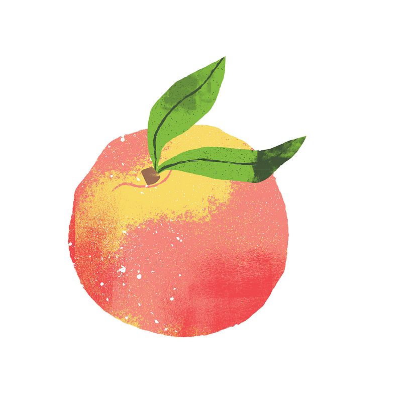 Foodimentary Book Illustrations 13