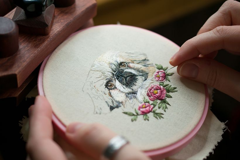 Pet Portraiture  2