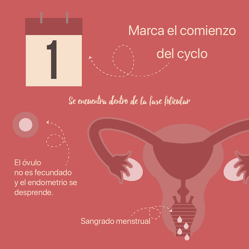 Prueba para diseño gráfico feed Instagram 5