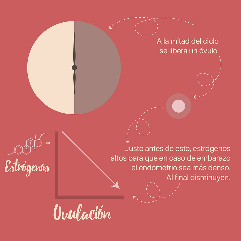 Prueba para diseño gráfico feed Instagram 6