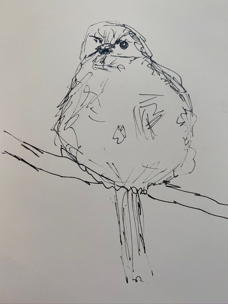 Frühere Bilder 5