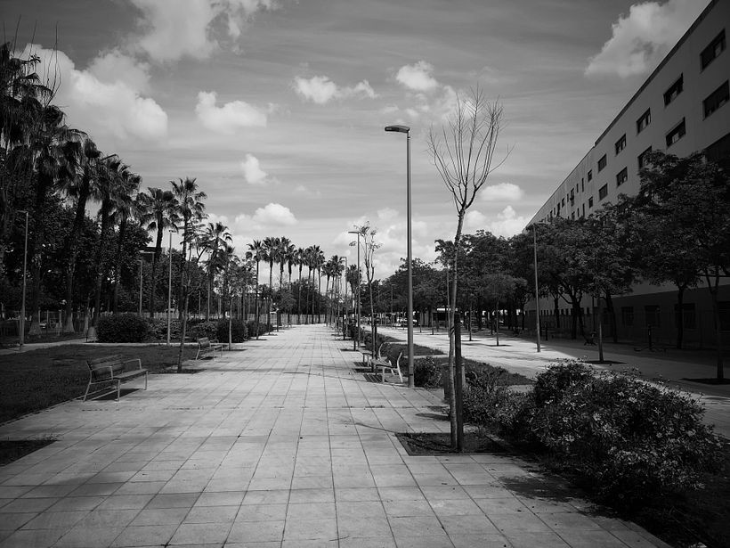 Proyectos de fotografía documental: D'ont stop the party 2