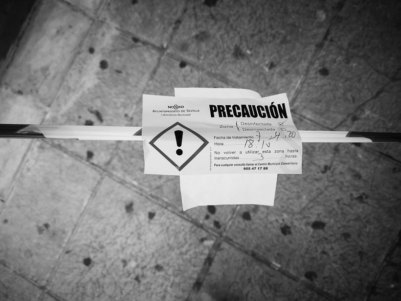 Proyectos de fotografía documental: D'ont stop the party 3