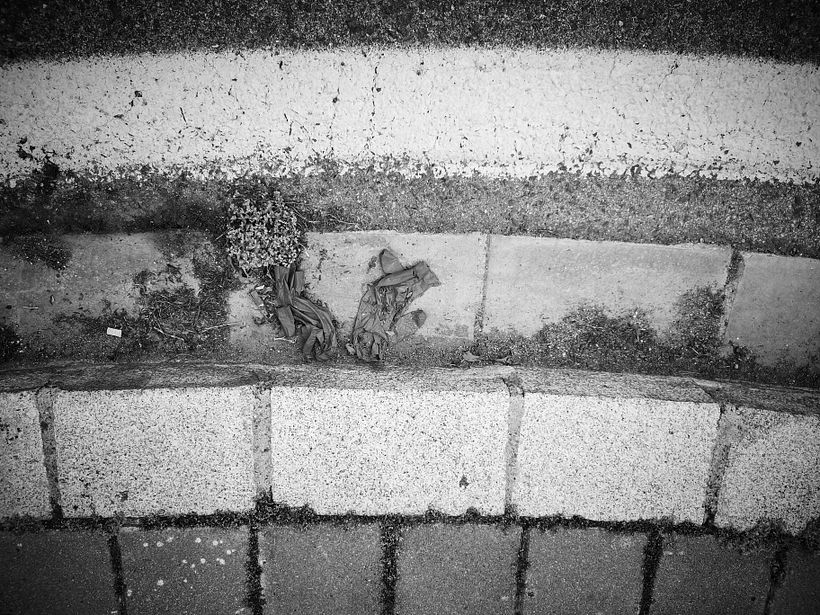 Proyectos de fotografía documental: D'ont stop the party 8