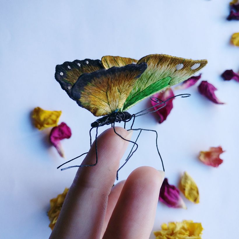 Butterflies 4