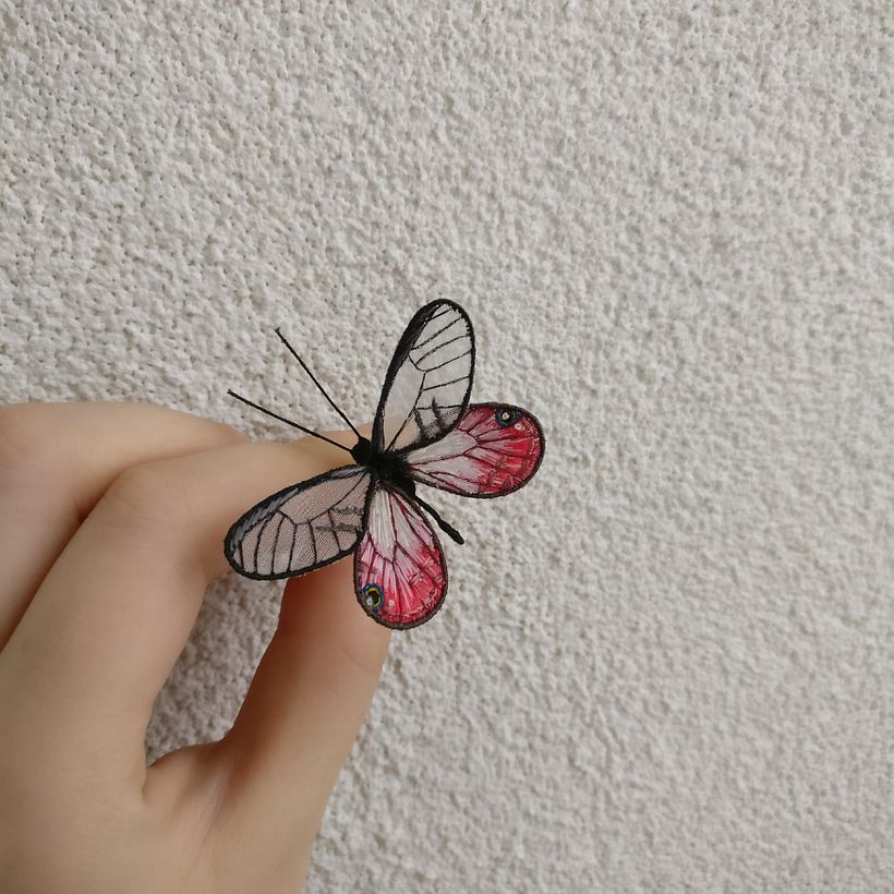 Butterflies 6
