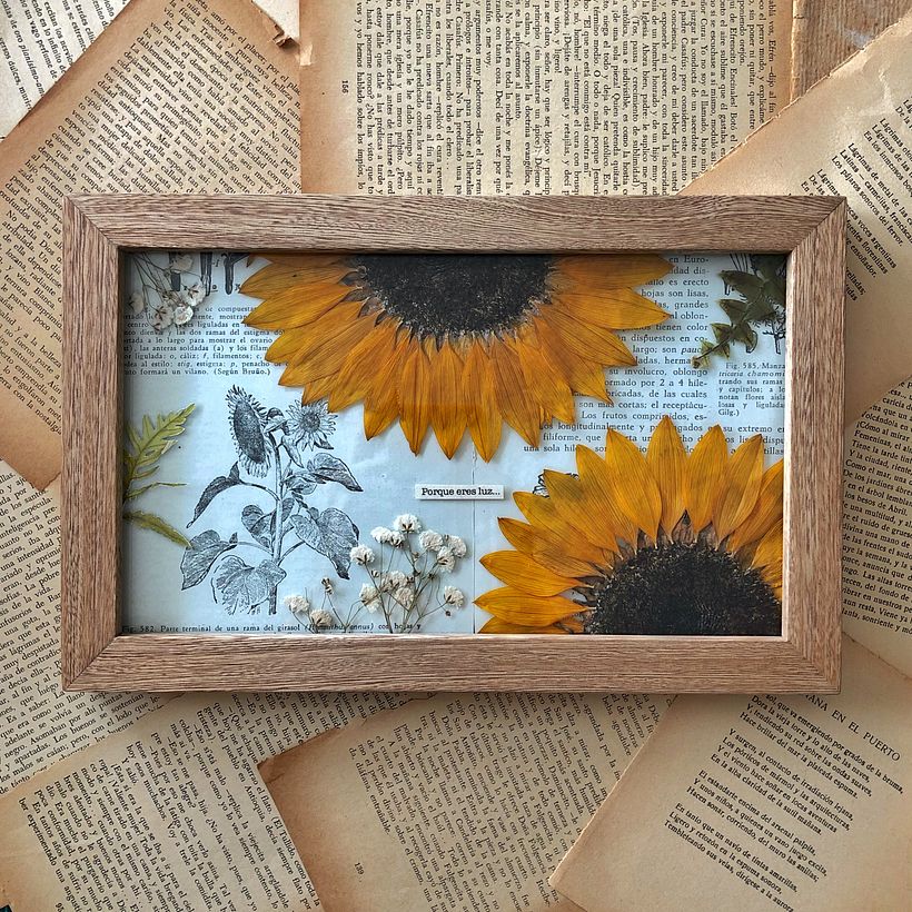 Cuadro con girasoles prensado
