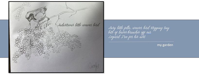 My projects in Botanical Watercolor Sketchbook course 3
