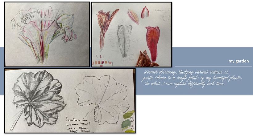 My projects in Botanical Watercolor Sketchbook course 5