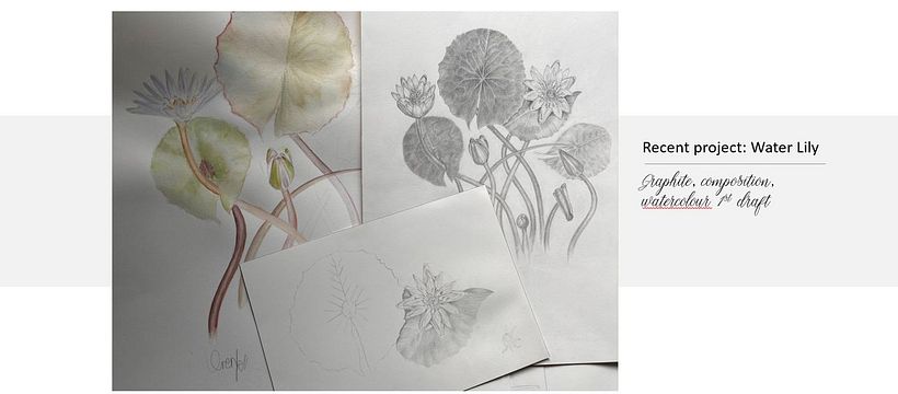My projects in Botanical Watercolor Sketchbook course 8