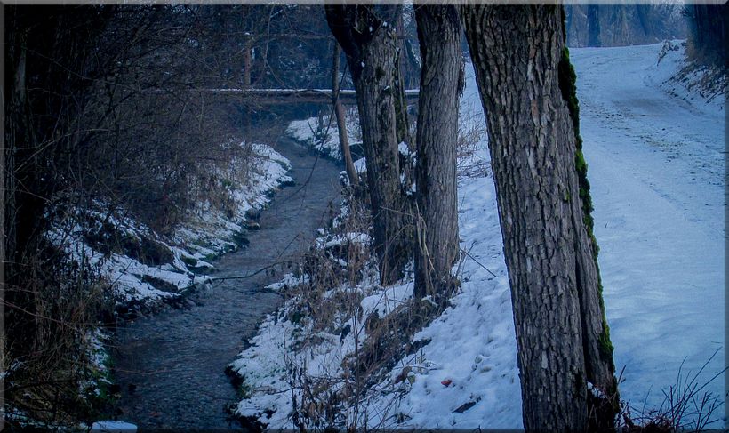 River in the Winter - Photography 0