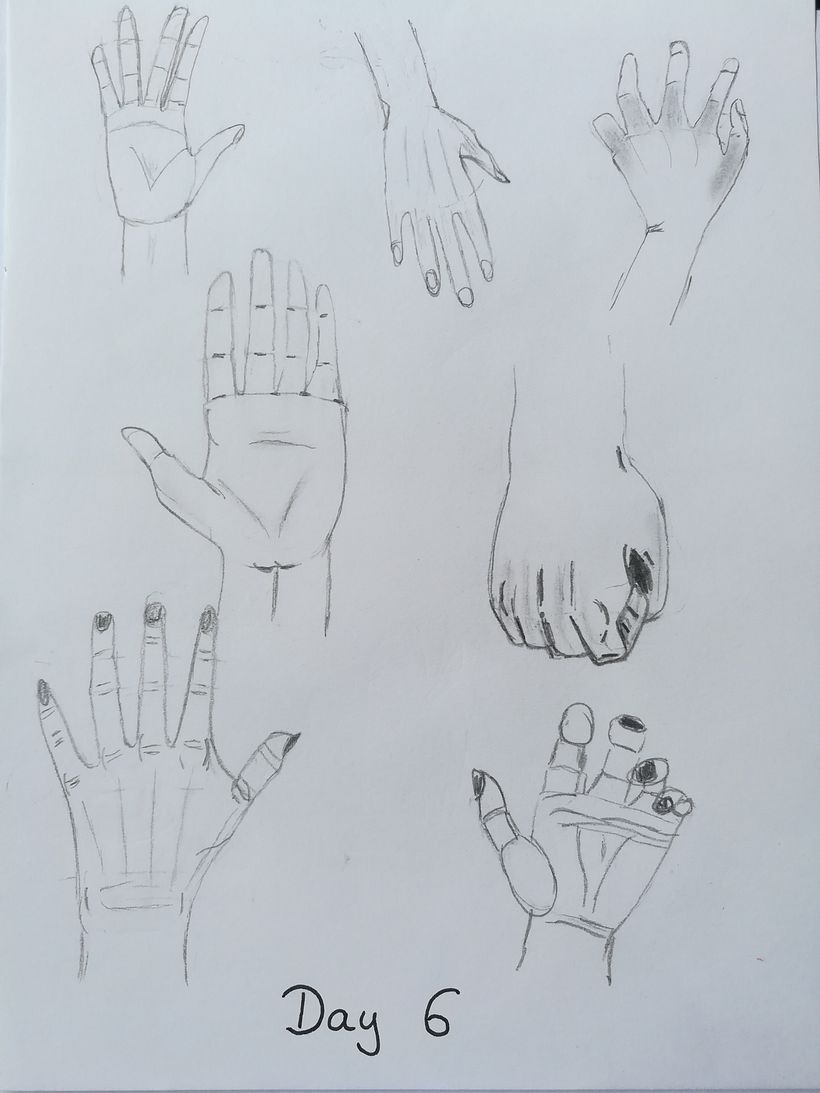 My project in From Beginner to Superillustrator course 12