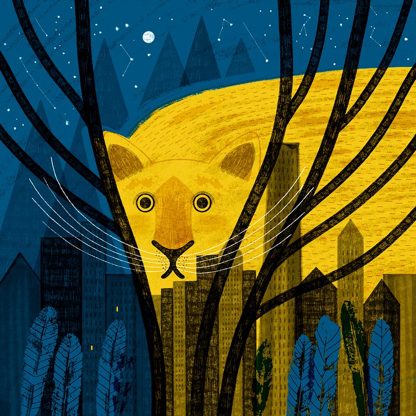 The New York Times, El paseo del puma, EEUU 2019 -1