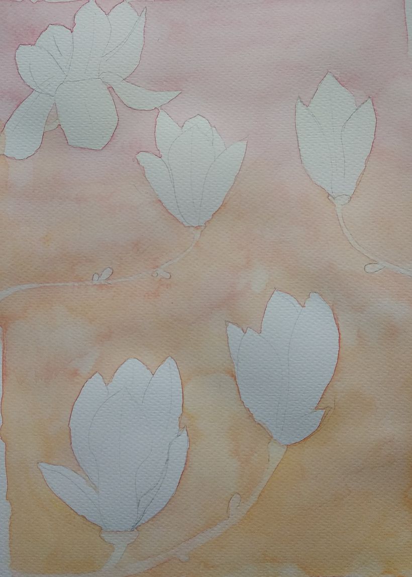 First layer of paint - 1st try