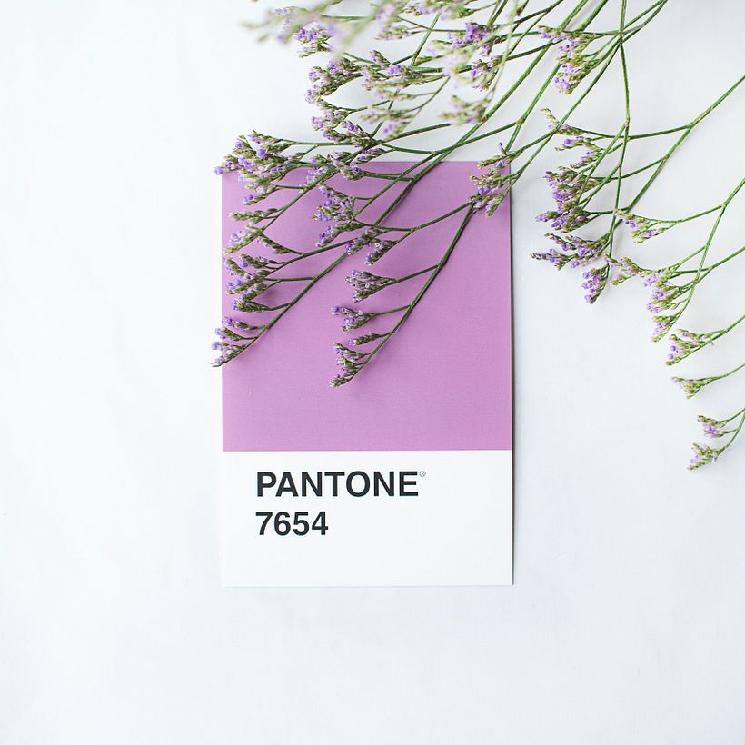 How Is the Pantone Color of the Year Chosen? 3