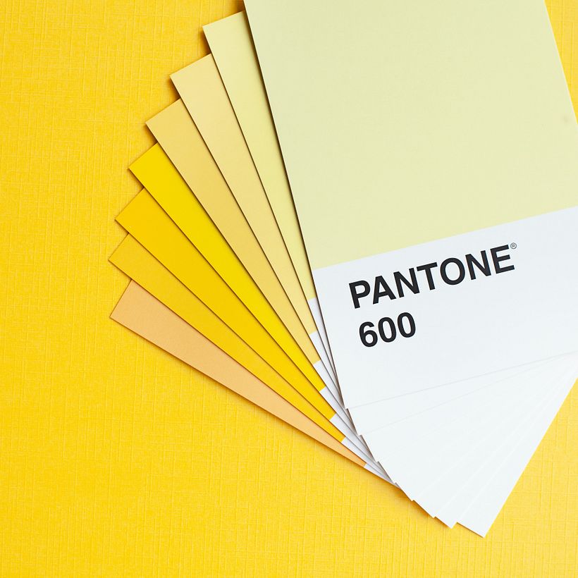 How Is the Pantone Color of the Year Chosen? 5