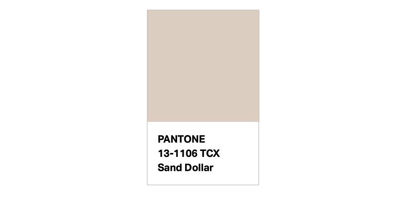 Sand Dollar (2006)