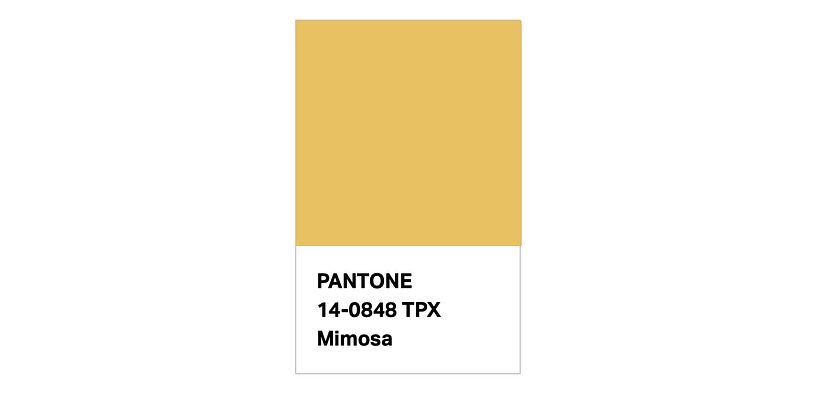 Mimosa (2009)