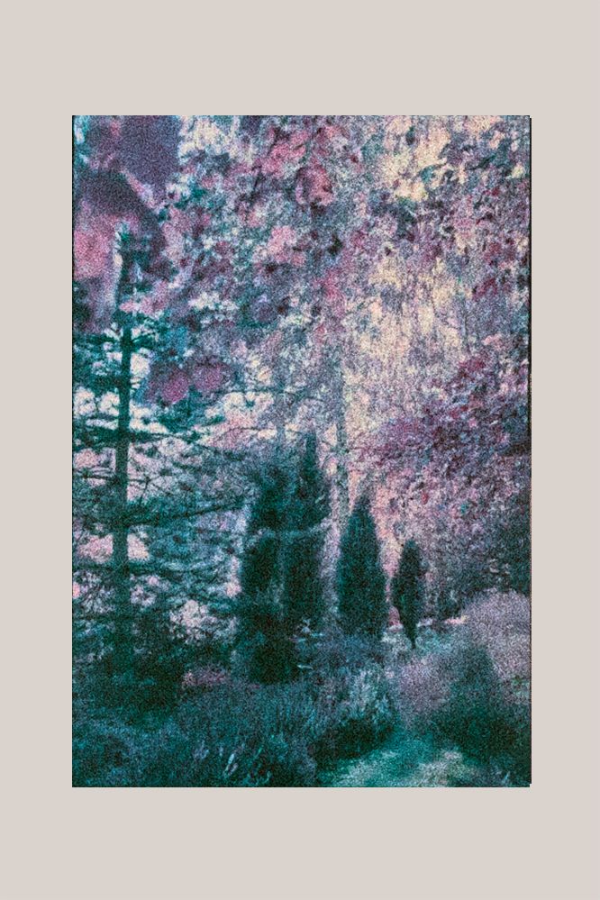 Landscape 2