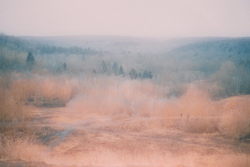 Landscape 0
